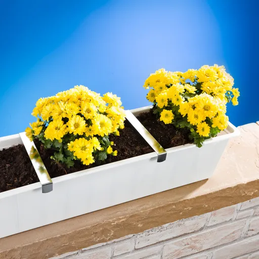 4 Cleme pentru jardiniere