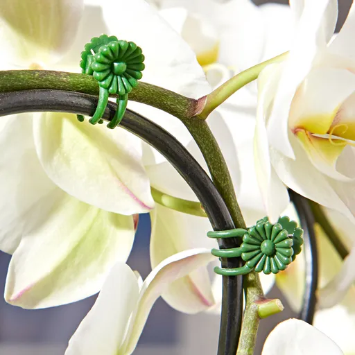 30 Cleme pentru sustinerea florilor