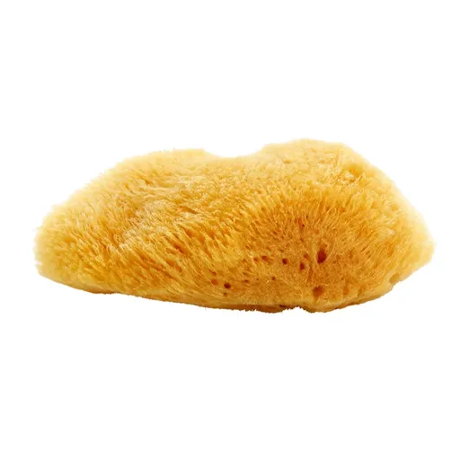 Magnum Natural Burete de mare Caraibe 10- 12 cm