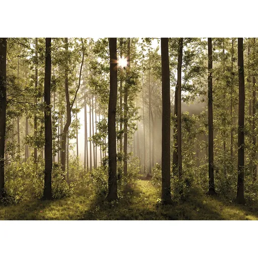 Fototapetă XXL Forest 360 x 254 cm, 4 părți
