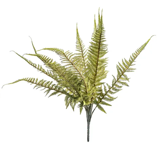 Ferigă artificială, 11 frunze