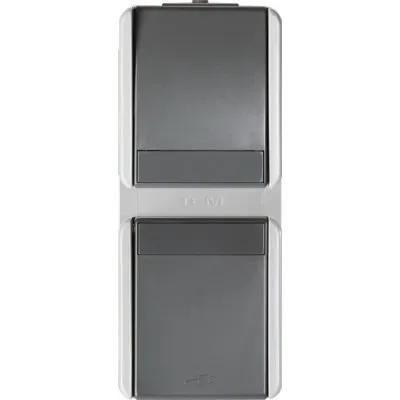 Priza Sch+CapSc vert IP44gri, TEM Modul TEM-CF13GY-U