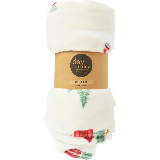 Pătură Winter Time 150 x 120 cm, alb